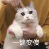很认真的人