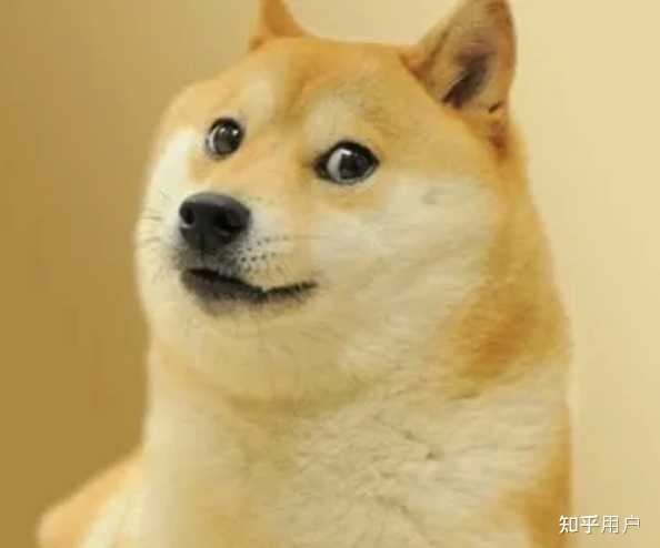 请问，在视频回复的评论后面加（doge）是什么意思呢? - 知乎