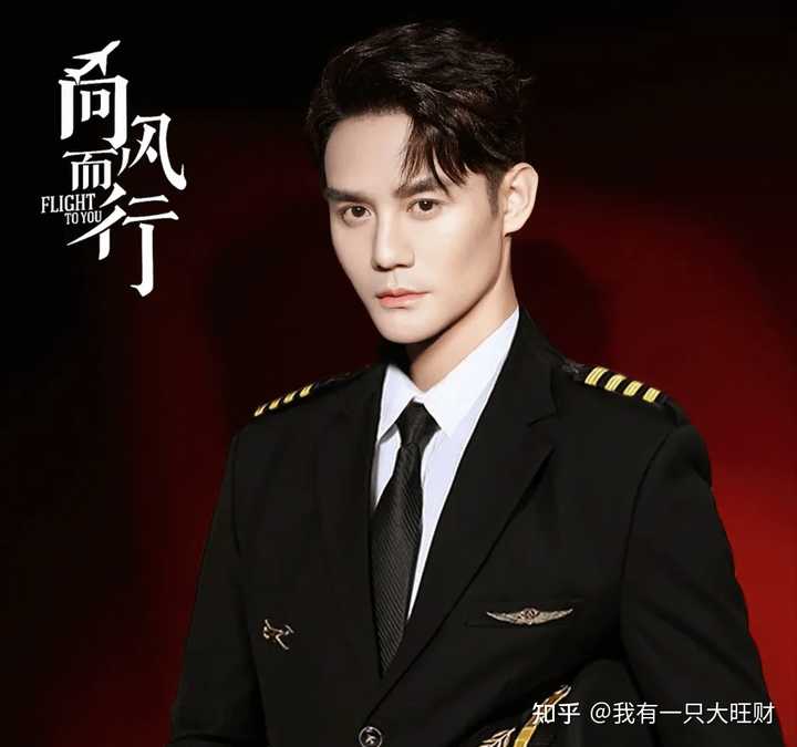 如何评价电视剧《向风而行》的剧情？