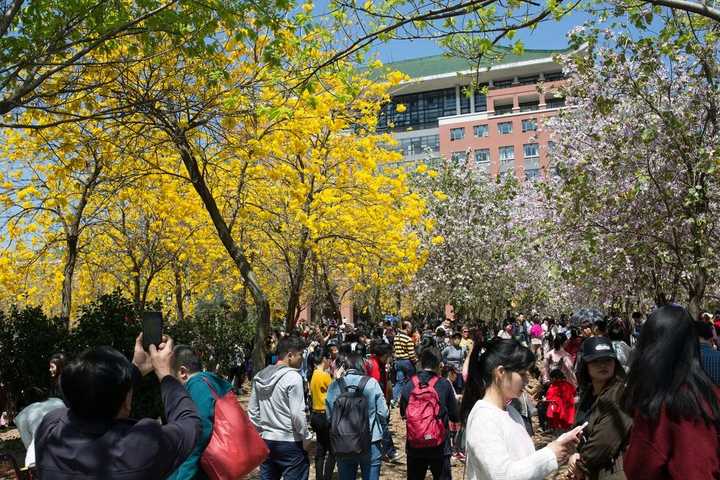 广东本科以上各大学排名_广东本b大学排名_广东本a大学排名