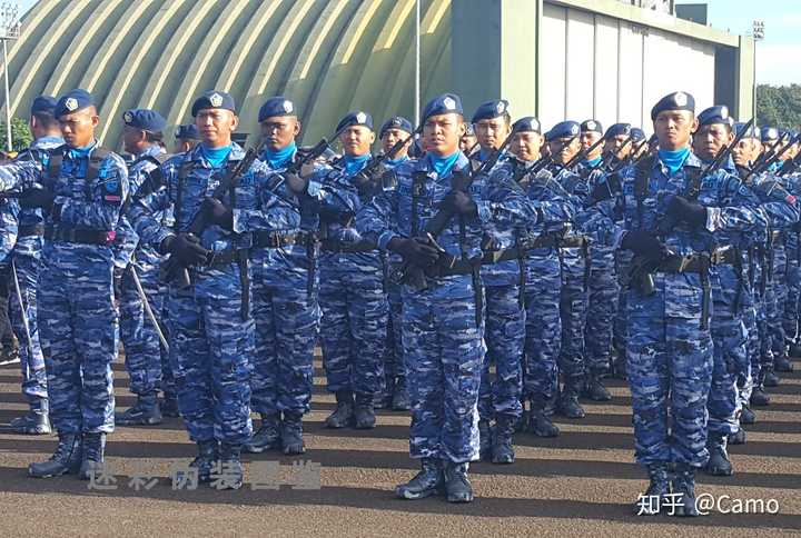 07空军海军的迷彩给空降兵海军陆战队穿是不是生怕敌军看不见 Camo 的回答 知乎