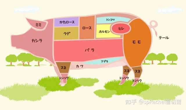 猪哪个部位的肉最好吃？ - 知乎