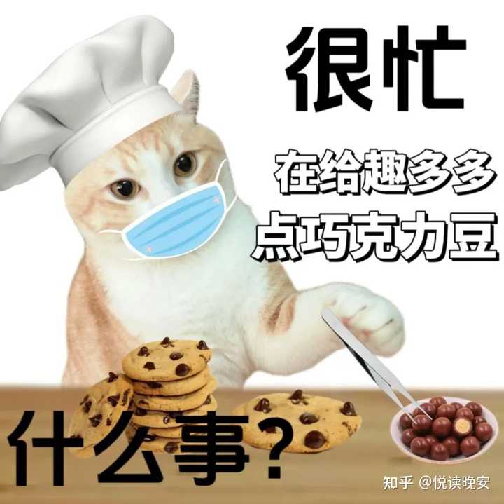 有什么好用的meme梗图和表情包搜索引擎或网站? - 知乎