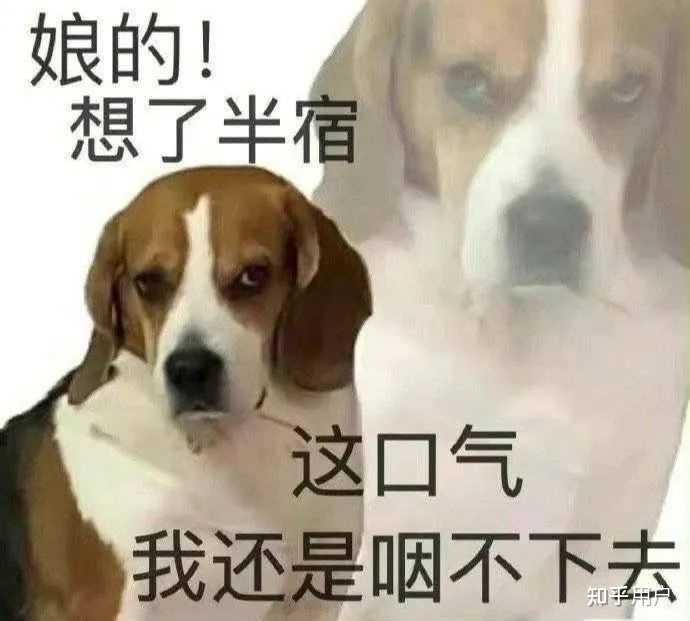 友友们,有没有发疯发癫的表情包? - 知乎
