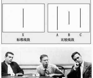 为何会出现「从众效应」,具体表现形式是什么,如何从心理学层面分析这种效应? - 知乎