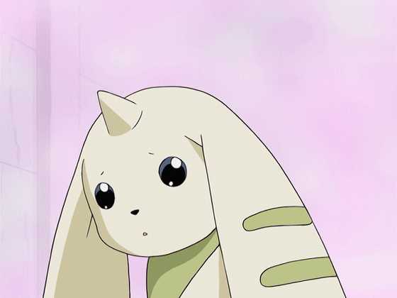 如何评价《数码宝贝》系列里的大耳兽及其进化体? - 知乎