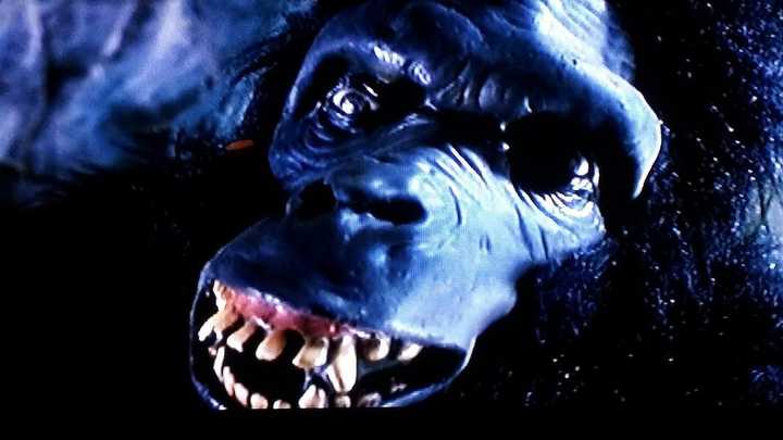 林青霞 / 尹尚林 / 麦伟章 / 魏伯勤 / 司马华龙 / 程守一 / 秦贵宝