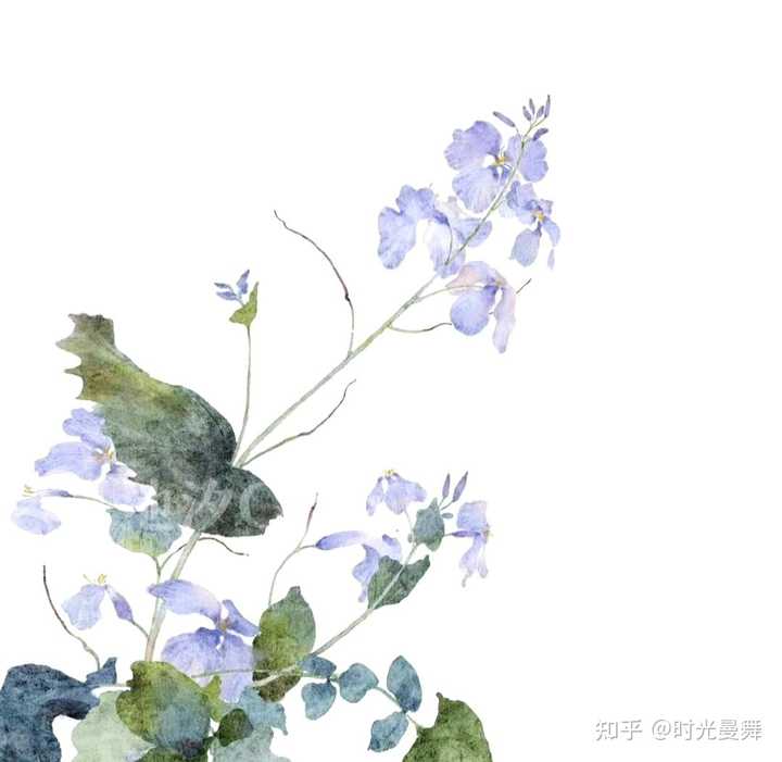 有哪些写花的小众且独特的诗词？ - 知乎