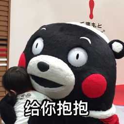 动图封面