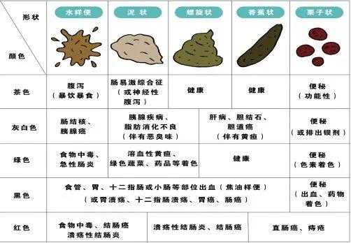 如何从大便情况判断身体状况? - 知乎
