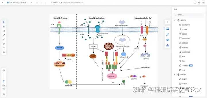 大家一般用的医学科研绘图(机制图)的软件有哪些? - 知乎