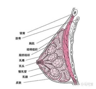 减肥运动快速燃脂_运动减肥_减肥运动操视频