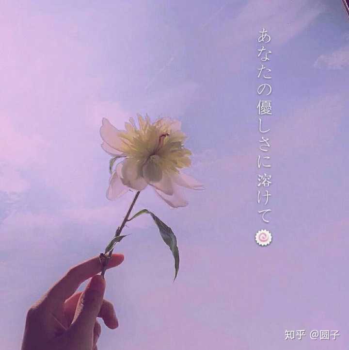 一个人温柔的表现是什么？ - 知乎