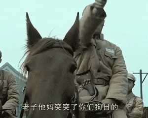 动图封面