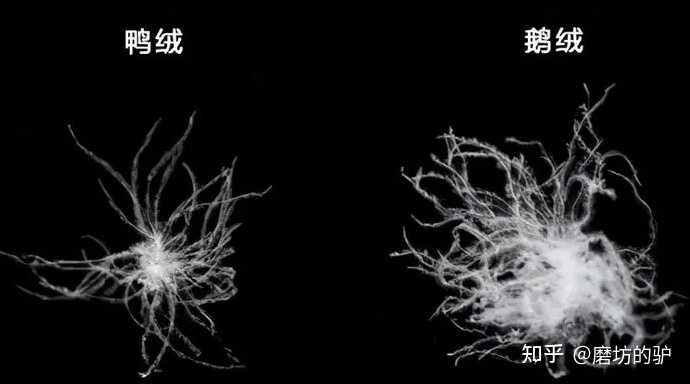 羽绒被的优点和缺点你都知道吗？ - 知乎
