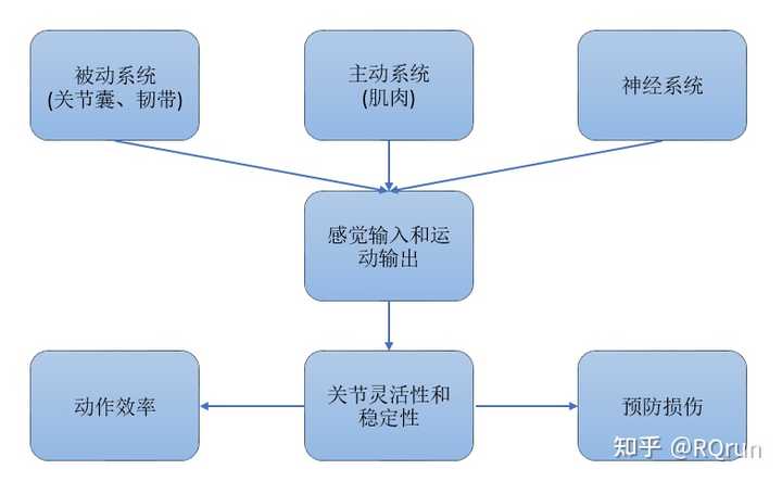 如何锻炼自己身体的灵活性？方法有哪些？ - 知乎