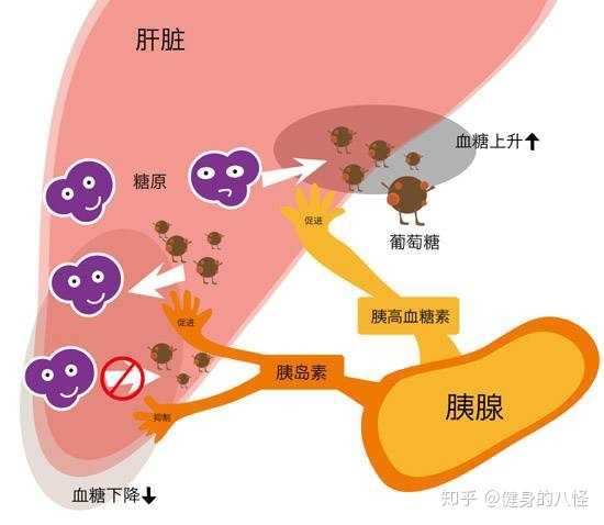 成功的三个月减掉20斤，总结了自己在学校减肥的经验