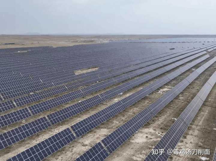 毒鸡汤刀削面:以中国目前的条件，什么作物是进口大豆最佳替代方案？|2026-08-06-汉风1918-汉唐归来-惟有中华