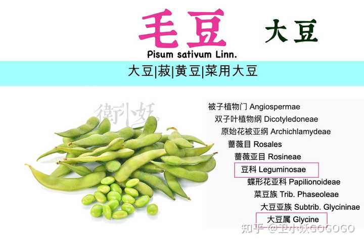 各种豆角都怎么叫 做法有什么区别 知乎 各种豆角都怎么叫 做法有什么区别 知乎