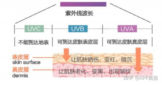 痘印心得经验_痘印的烦恼_痘印的解决方法