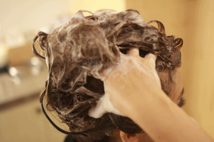 440_293gif 动态图 动图