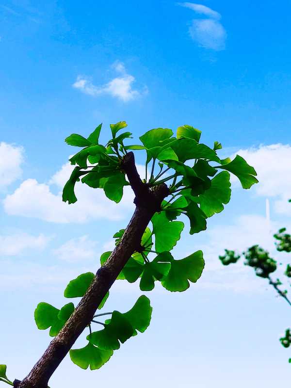 如何改变自己太负责任的性格?