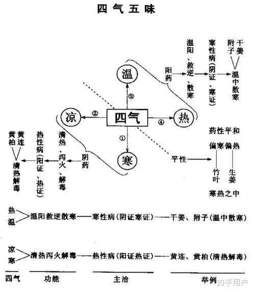中药的性，味，以及归经，意义在哪里？如何理解？ - 知乎