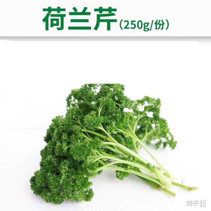 法香和欧芹是同一种东西么? - 知乎