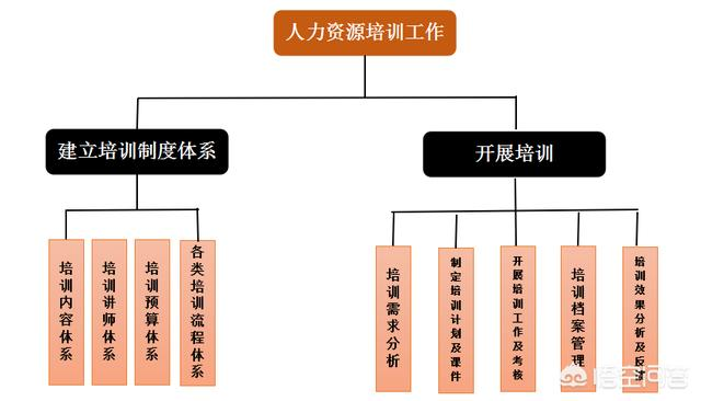 人力资源管理是做什么的? - 知乎