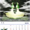 晓晓的小小