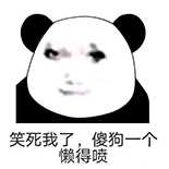动图封面