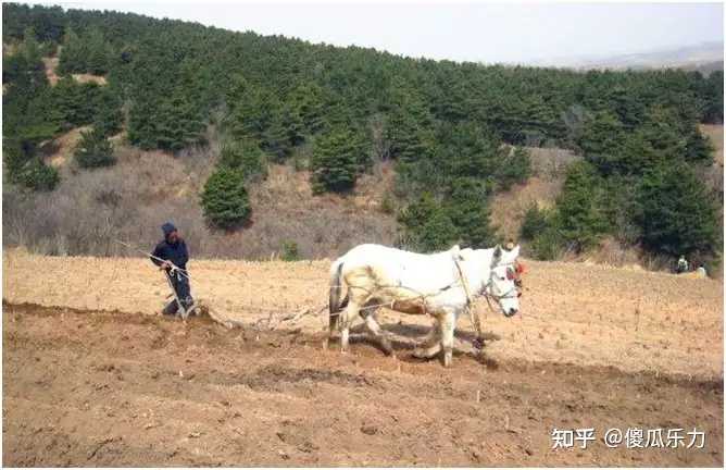 唐代发明的曲辕犁对农业生产产生了怎样的影响? - 知乎