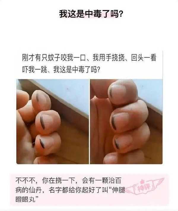 看完后会让人捧腹大笑的神回复段子语录有哪些？ 知乎