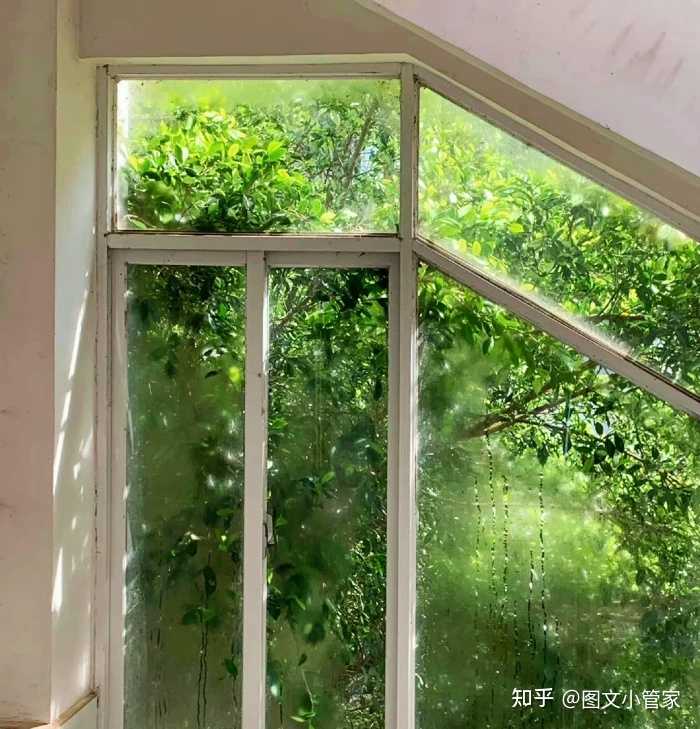 元宵节，你有哪些祝福语？ - 知乎