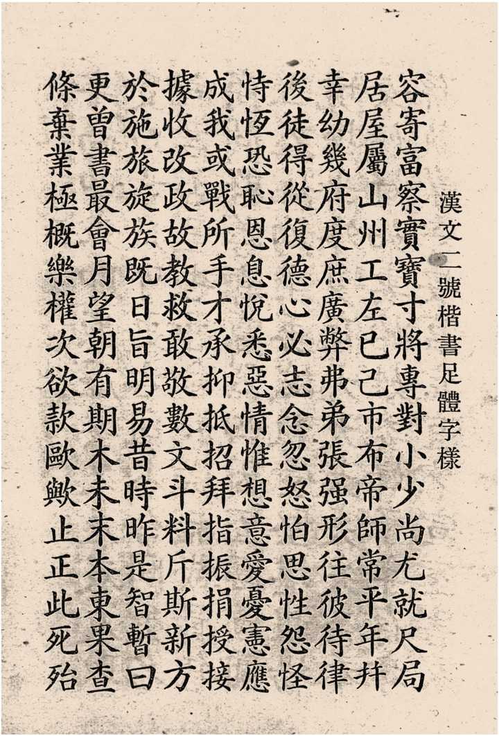 活字 新1号 漢字 ゴシック体 許容字体 - 素材/材料