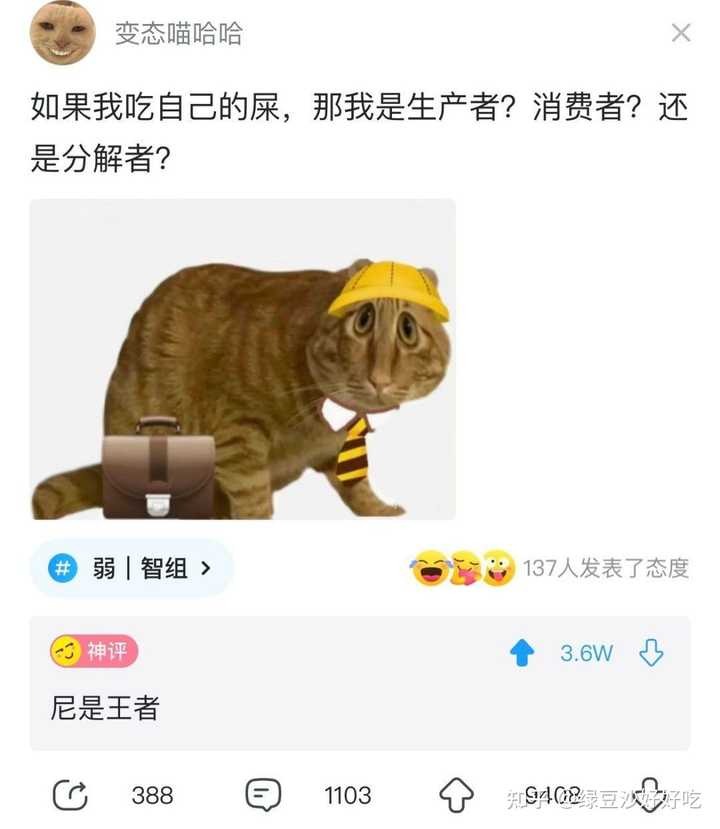 有没有那种一看就笑死的表情包或梗图? - 知乎