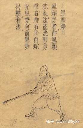 剑道后腿为什么是直的 知乎