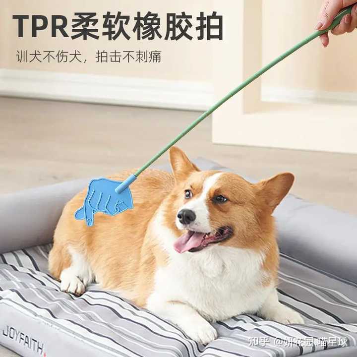 狗叫到什么样算扰民? - 知乎