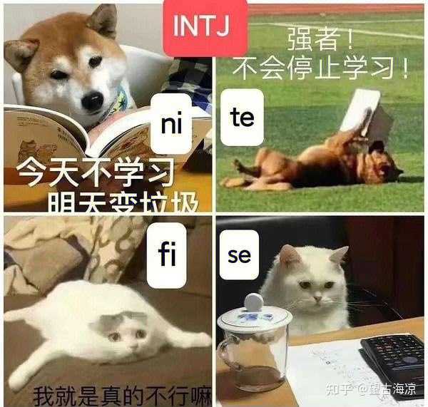 什么样的环境才会形成INTJ人格? - 知乎