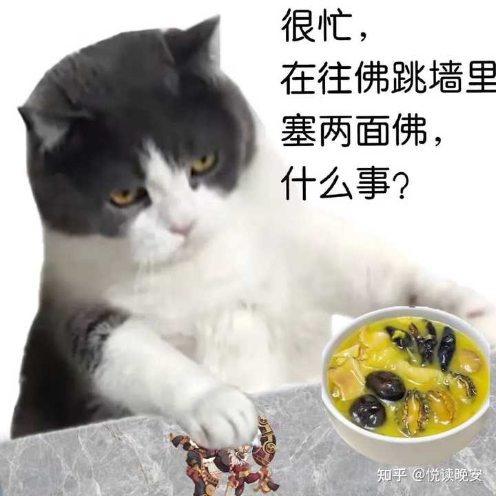 有什么好用的meme梗图和表情包搜索引擎或网站? - 知乎