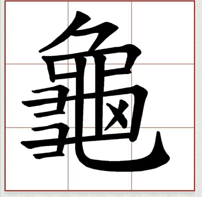 「龜」(龟)字的笔顺是什么? - 知乎
