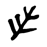 什么是旧印? - 知乎