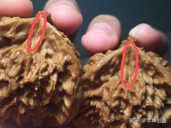 三棱文玩核桃如何辨认真假？ - 知乎