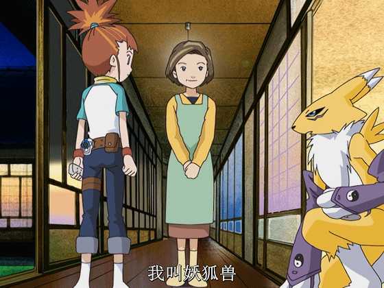 如何评价《数码宝贝》系列里的妖狐兽及其进化体? - 知乎