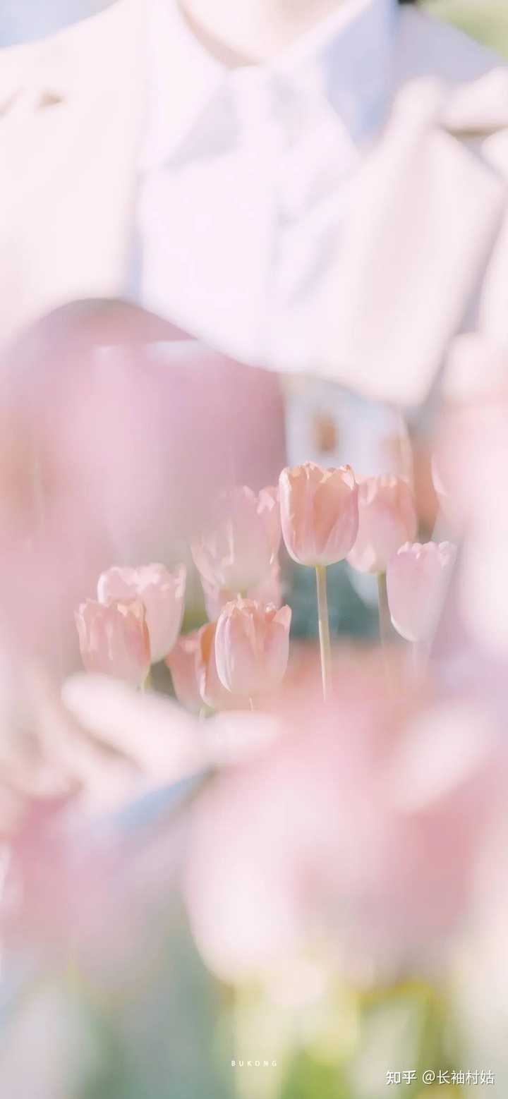 有没有好看的ins风横屏壁纸可以分享？ - 知乎