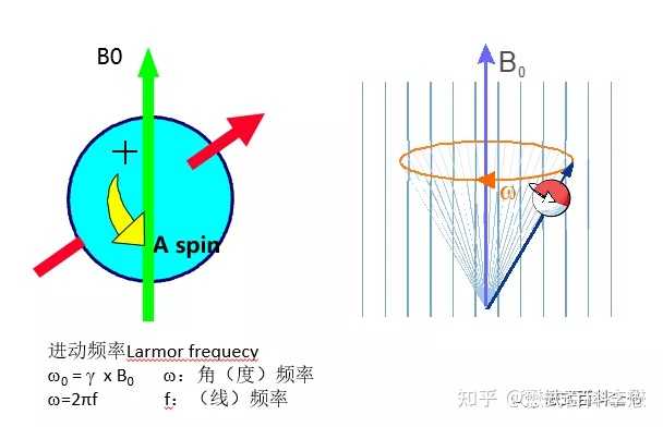 如何较为通俗地解释一下章动? - 知乎