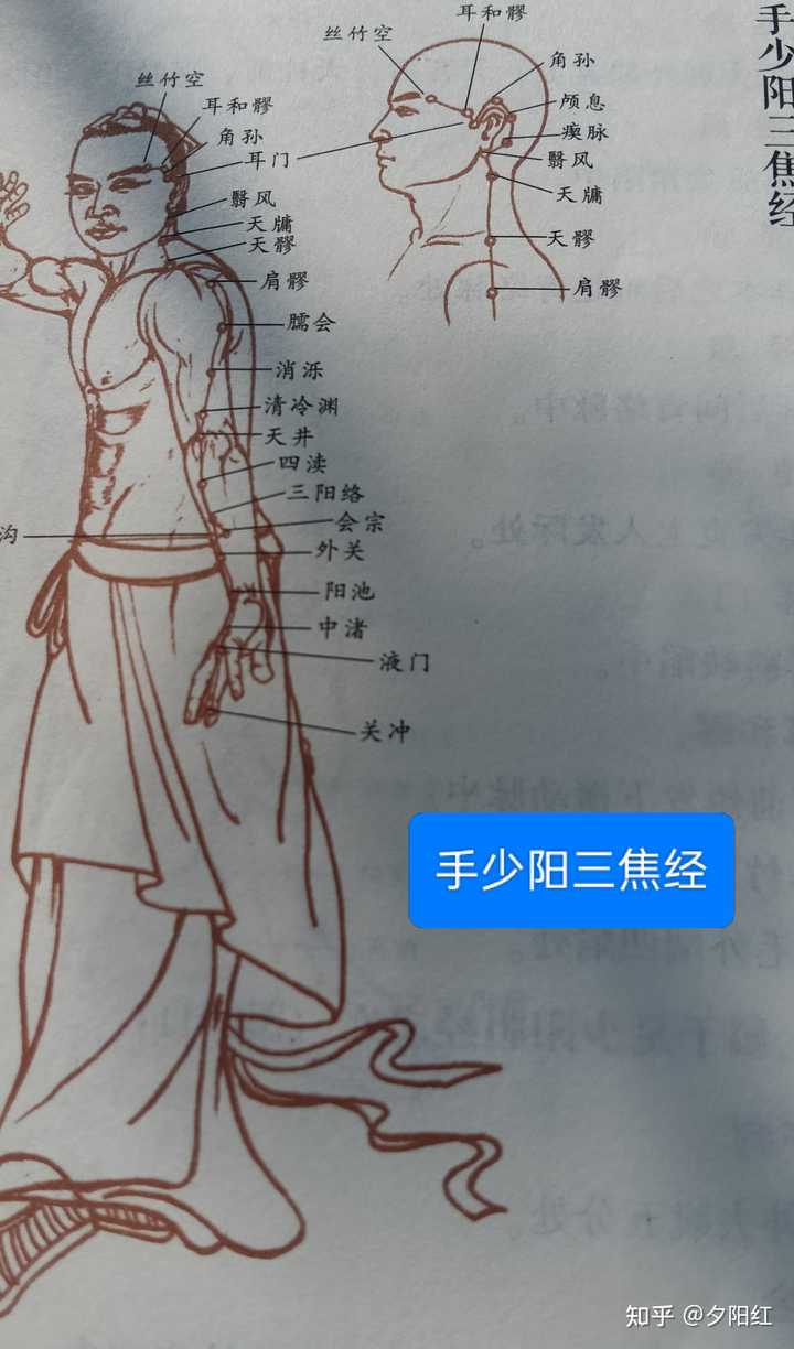 上焦中焦下焦分别包含什么? - 知乎