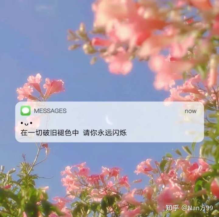 你听过哪些值得收藏的文案短句？-猪文网