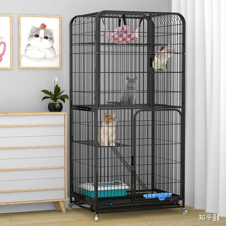 有什么美观实用的猫笼推荐? - 知乎