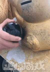 动图封面
